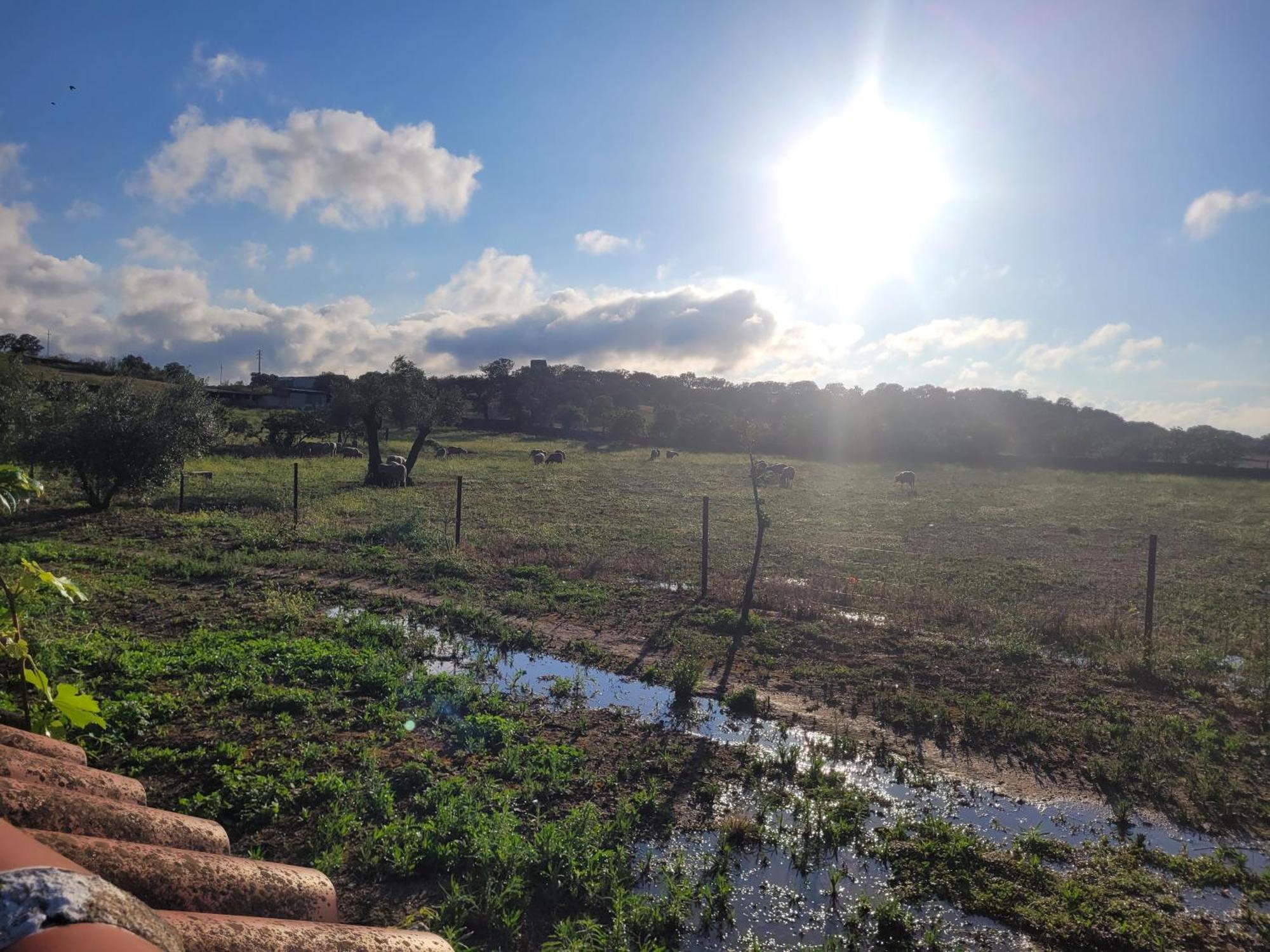 Villanueva del DuqueComplejo Rural El Soldado别墅 外观 照片