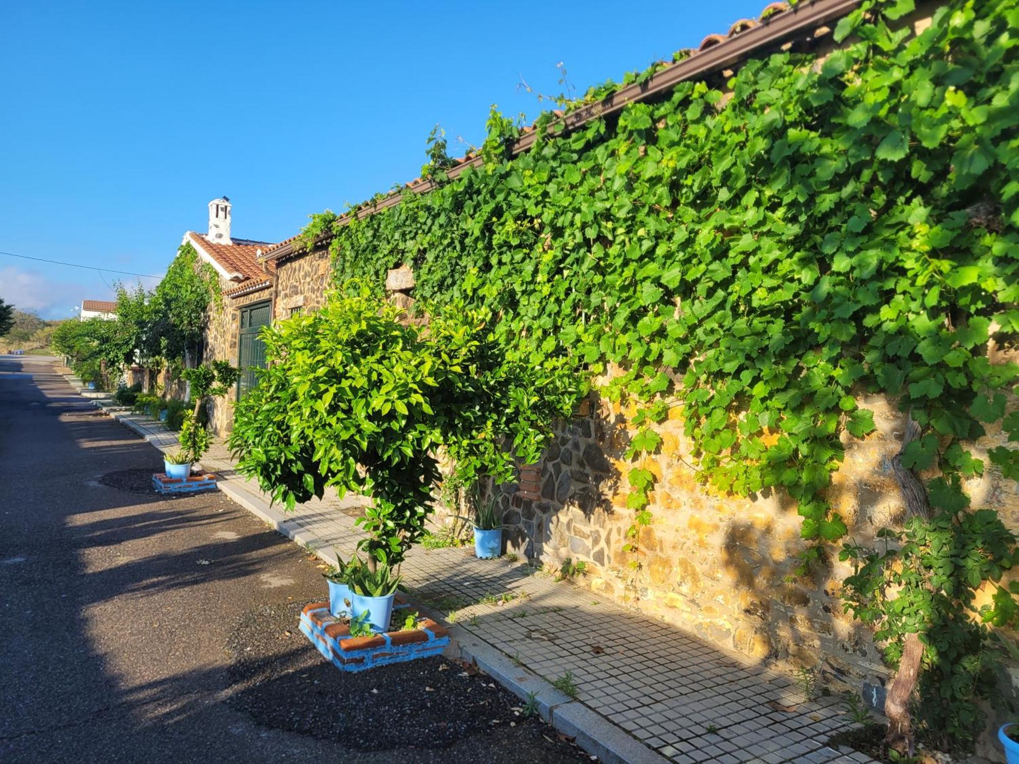 Villanueva del DuqueComplejo Rural El Soldado别墅 外观 照片